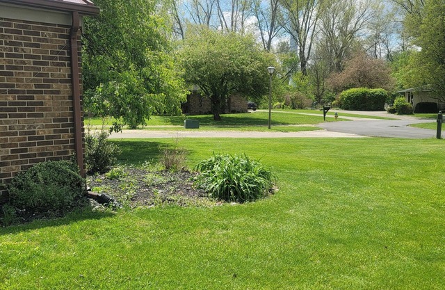 Snow Birds Flew the Coop