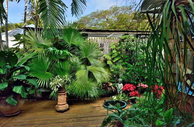 ~ SOLARIS PAIR-A-DISE ~ A garden lover’s dream on a quiet Key West lane.