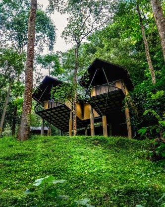 Song Of The Trees Nature Stay Kutitkanam by LexStays
