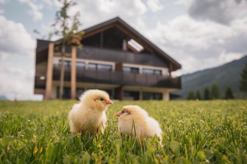 Sottla - your mountain home