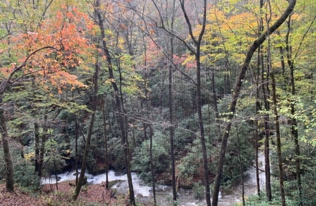 Sound of Rushing RAPIDS/Private wooded location/Hiking Trail/Hot Tub