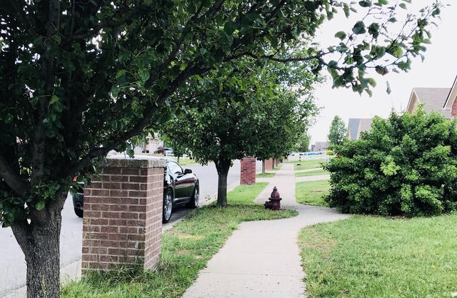Spacious 3 BR Ranch House W Patio Yard in a Quiet Suburb