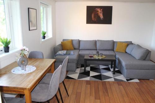 Spacious and nice apartment