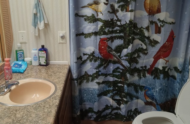 Spacious and private room with its own entrance