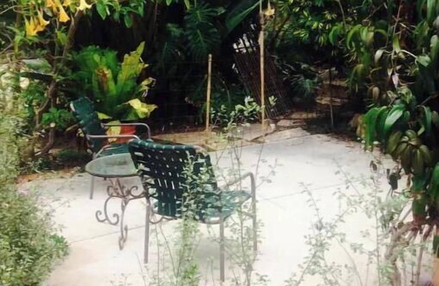 Spacious and Serene Studio in the Foothills