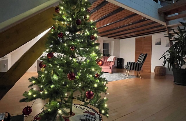 Spacious apartment over 2 floors in a central location with castle view, wallbox