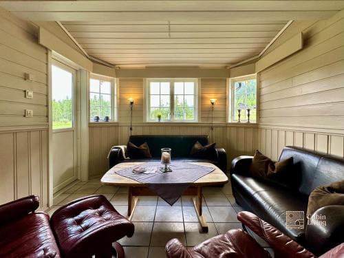 Spacious cabin in Hemsedal with sauna, near slopes