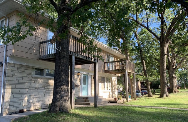 Spacious comfortable apartment. Close to downtown, Newbo, easy access to I 380