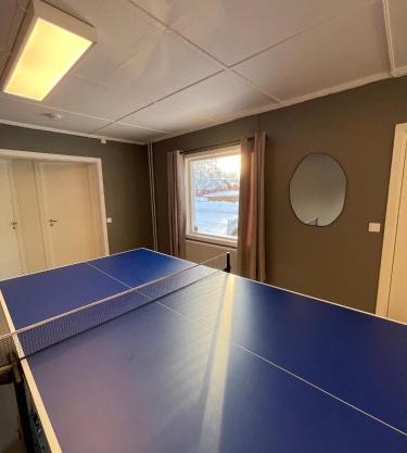 Spacious house in Trysil