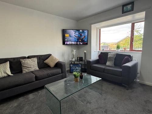 Spacious Luxury Homes