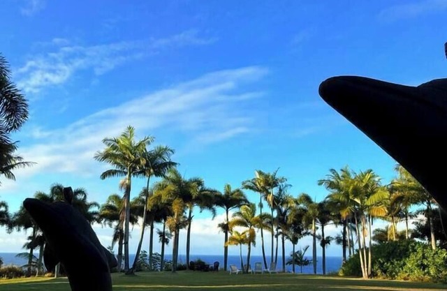 Spacious Oceanfront Retreat | Enjoy Outdoor Games & BBQ Fun