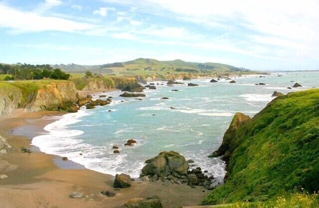 Spacious Yet Cozy Bodega Bay Experience!