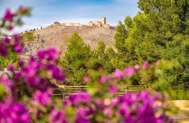 Spend a relaxing vacation in this idyllically located vacation home with pool access.