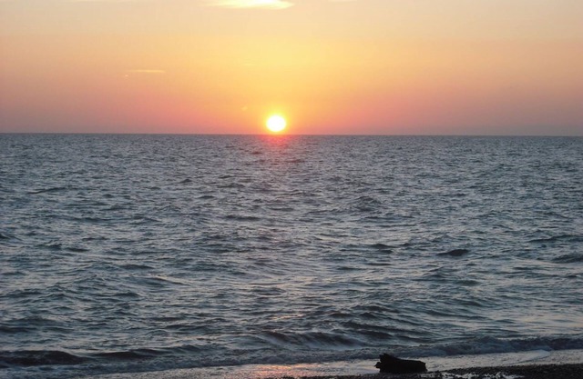 Splendid Relaxing Stay in the Tuscan countryside