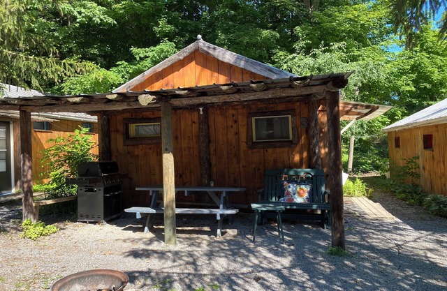 Spotted Sandpiper - Cabin #3