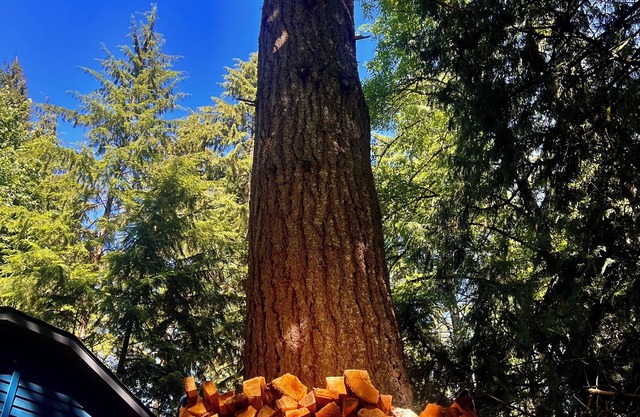 Springtime in the Valley! Modern Charm and the BEST Hiking and Biking in the PNW