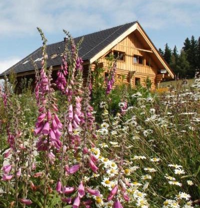 Srub Javorná - apartmány Šumava