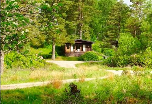 Star Lodges