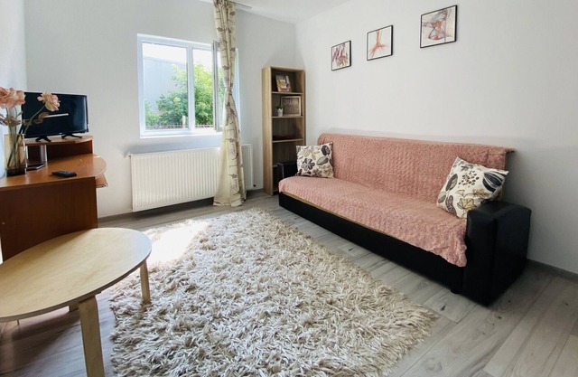 Stay in Blaj feel like home - One Bedroom Apartment