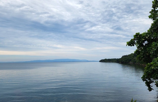 Stay, relax and explore in Seastar, our tropical oasis by the Caribbean Sea.n
