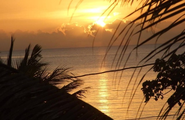 Stay, relax and explore in Sunset our tropical oasis by the Caribbean Sea.