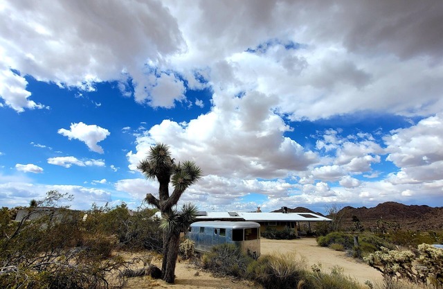 Stephs Panorama Paradise:7.5 acres of wildlife viewing peace. Minutes from Park