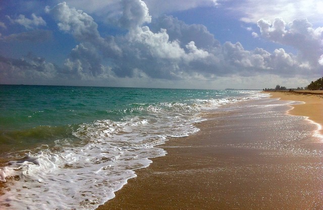 Steps from the beach! Comfortable garden apartment for you to enjoy