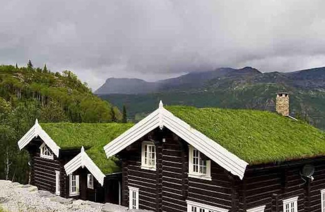 Stor og eksklusiv tømmerhytte Hemsedal