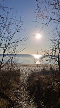 Strandtraum Lobbe Fewo 6, auf Anfrage mit Strandkorb