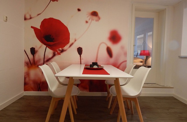 Studio Apartment 'Ferienhaus Rheinblick Apartment 1' with Shared Terrace and Wi-Fi
