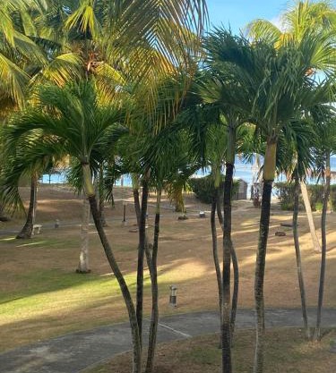 Studio Le Frangipanier