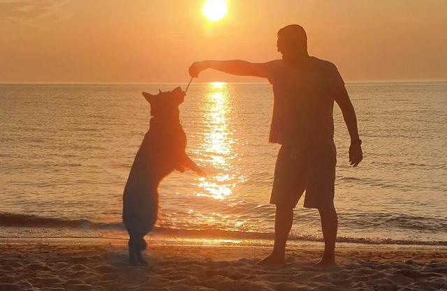 Studio Meißner - Parkresidenz Dierhagen