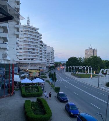 Studio PANORAMIC with Balcony and Parcul Unirii view