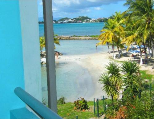 Studio Yucca, Pointe de la verdure, Didier BERVILLE