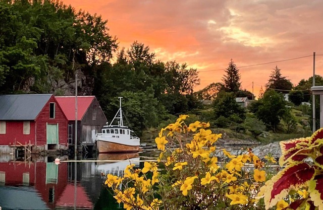Stunning home in Torangsvåg