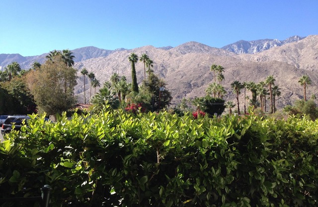 Stunning mountain view in Deep Well area just south of downtown 1 bedroom condo