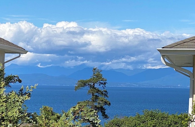 Stunning oceanic views right outside, 4-minutes to WaterfrontPark, Cozy Comfort!