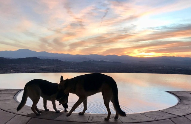 Stylish Cottage @La Cresta, nestled in a private wineyard, close to Temecula/SD.