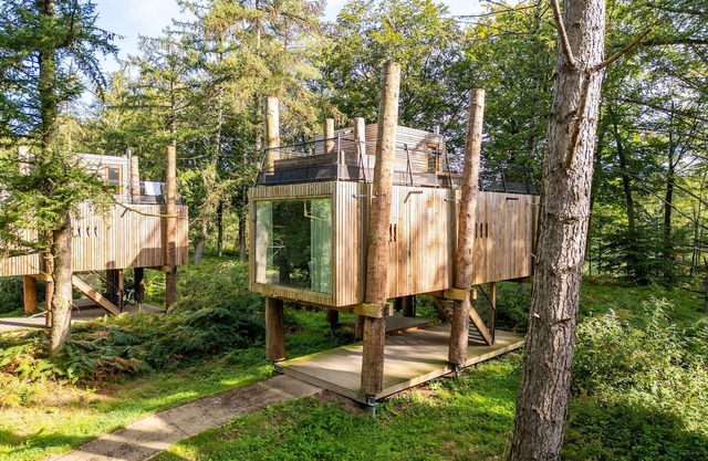 Stylish Stay with Sauna
