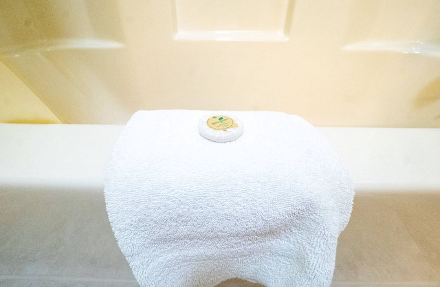 Sugarloaf | 1BR,1BA, Cabinesque Hotel in Ohiopyle