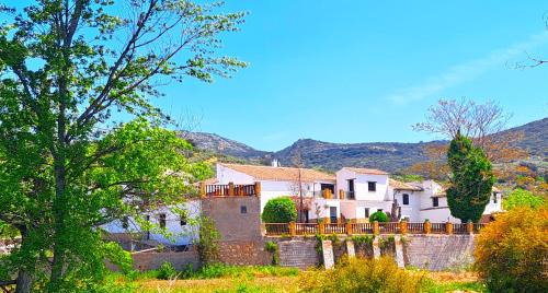 Suitur Cortijo de Don Lolo