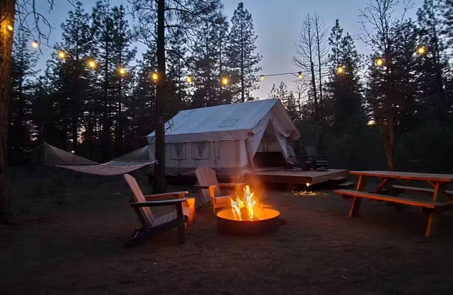 Sundance in the trees Goldendale