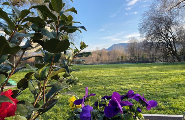 Sungri-La ☀ tranquil one-acre backyard with mountain views, next to a river park