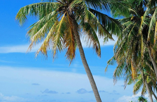 Sunny Days Retreat, . 5 miles to beach, Fishing, 90min to Disney. Pet friendly