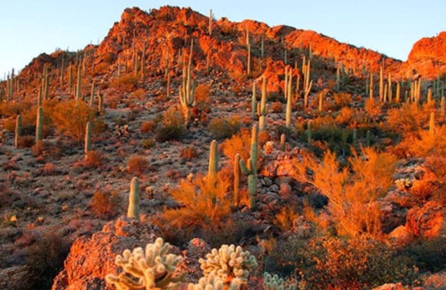 Sunswept Skies- WM Open Feb 2-8 Book Now!