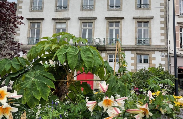 Superb apartment with full view of Morlaix harbour