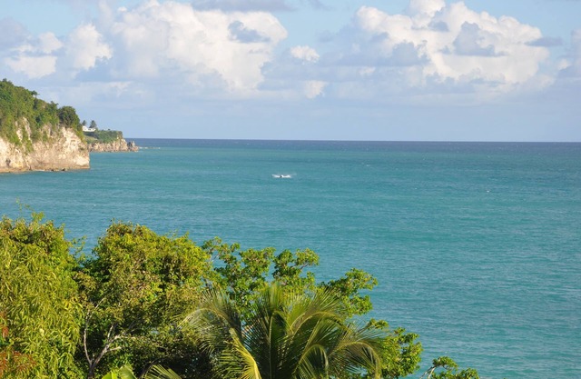 Superb apartment with garden and private pool, close to the sea