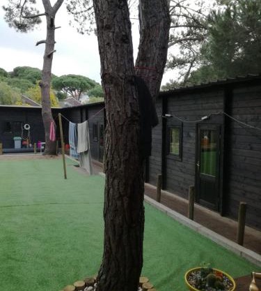 Surf Camp Ecológico