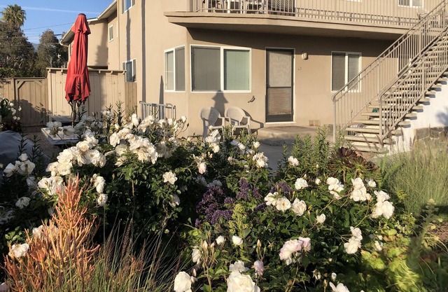 Surf, Sun and Sand - Steps from Carpinteria Beach #17