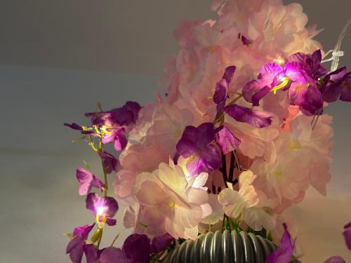 Swarga Fireflies Duo